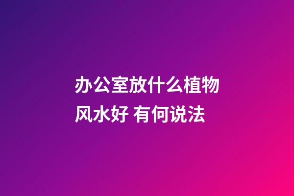 办公室放什么植物风水好 有何说法